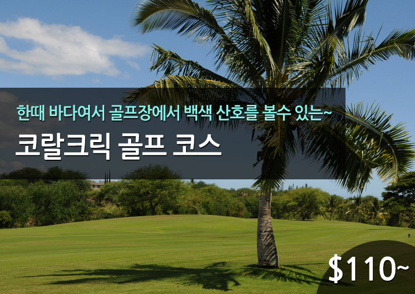 코랄크릭 골프 코스